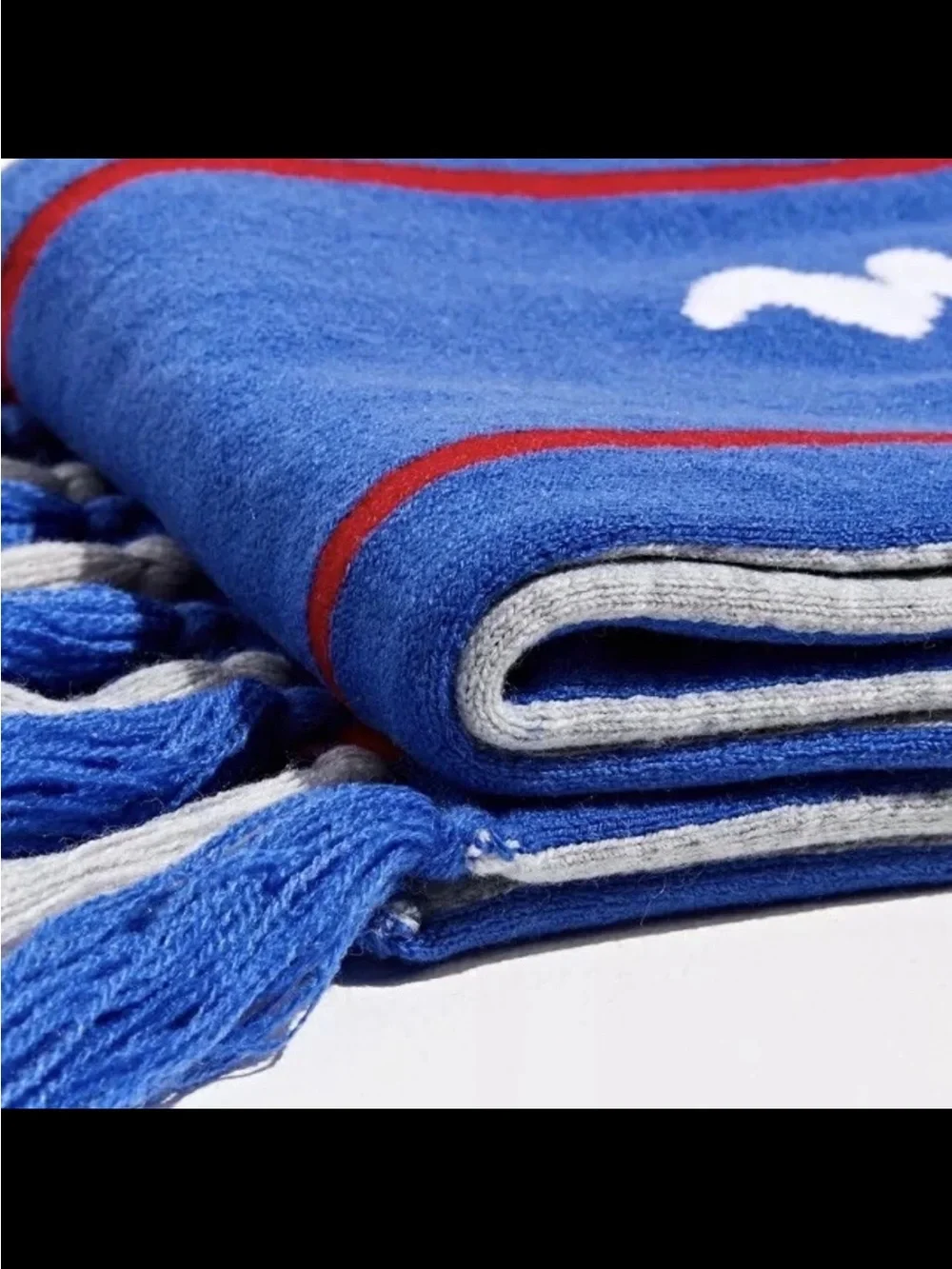 Champion Since 1919 Reversible Knit Scarf Blue Gray Logo Winter Fringe 64”